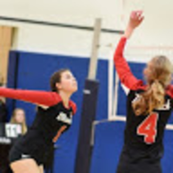 Meet your Posher, Anastasia - Picture 1 of 1